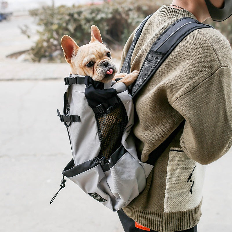 Cozy Nest Pet Carrier