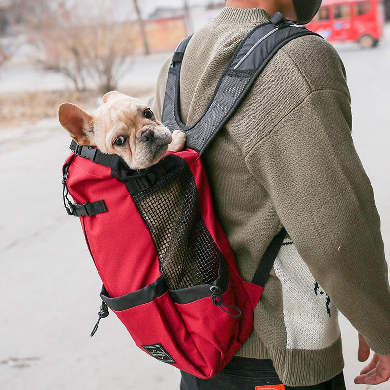 Cozy Nest Pet Carrier