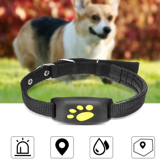 The Guardian Real-Time GPS Safety Tracker