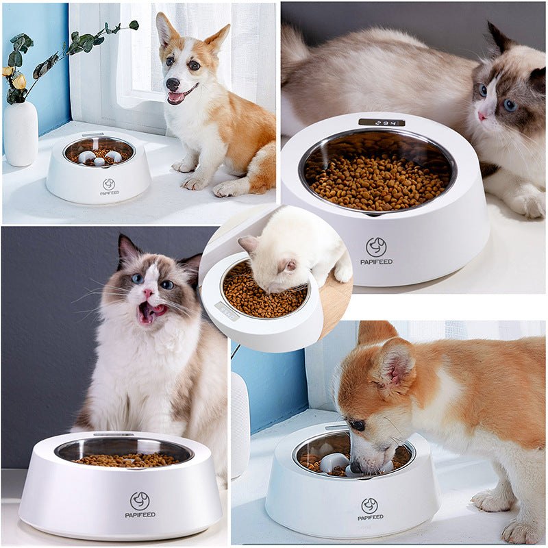 Smart Food Bowl Smart