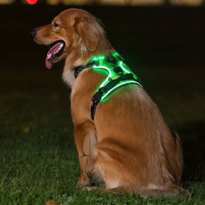The Aurora Luminous LED Safety Harness