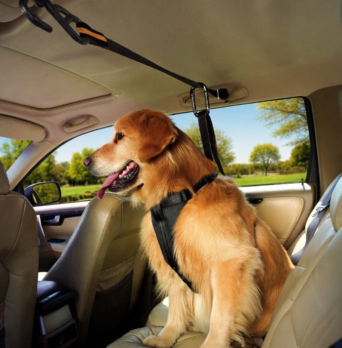 Pet Safety Belt Dual-purpose Car Lanyard